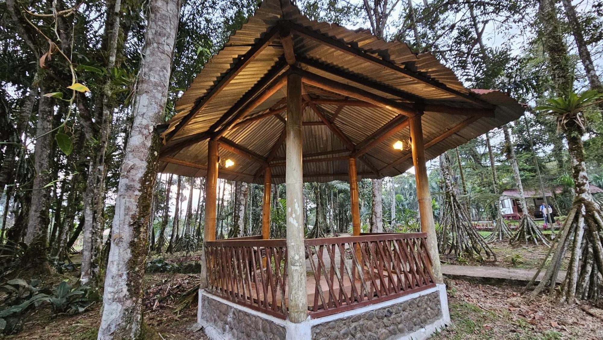 Hosteria Finca El Pigual Puyo Dış mekan fotoğraf