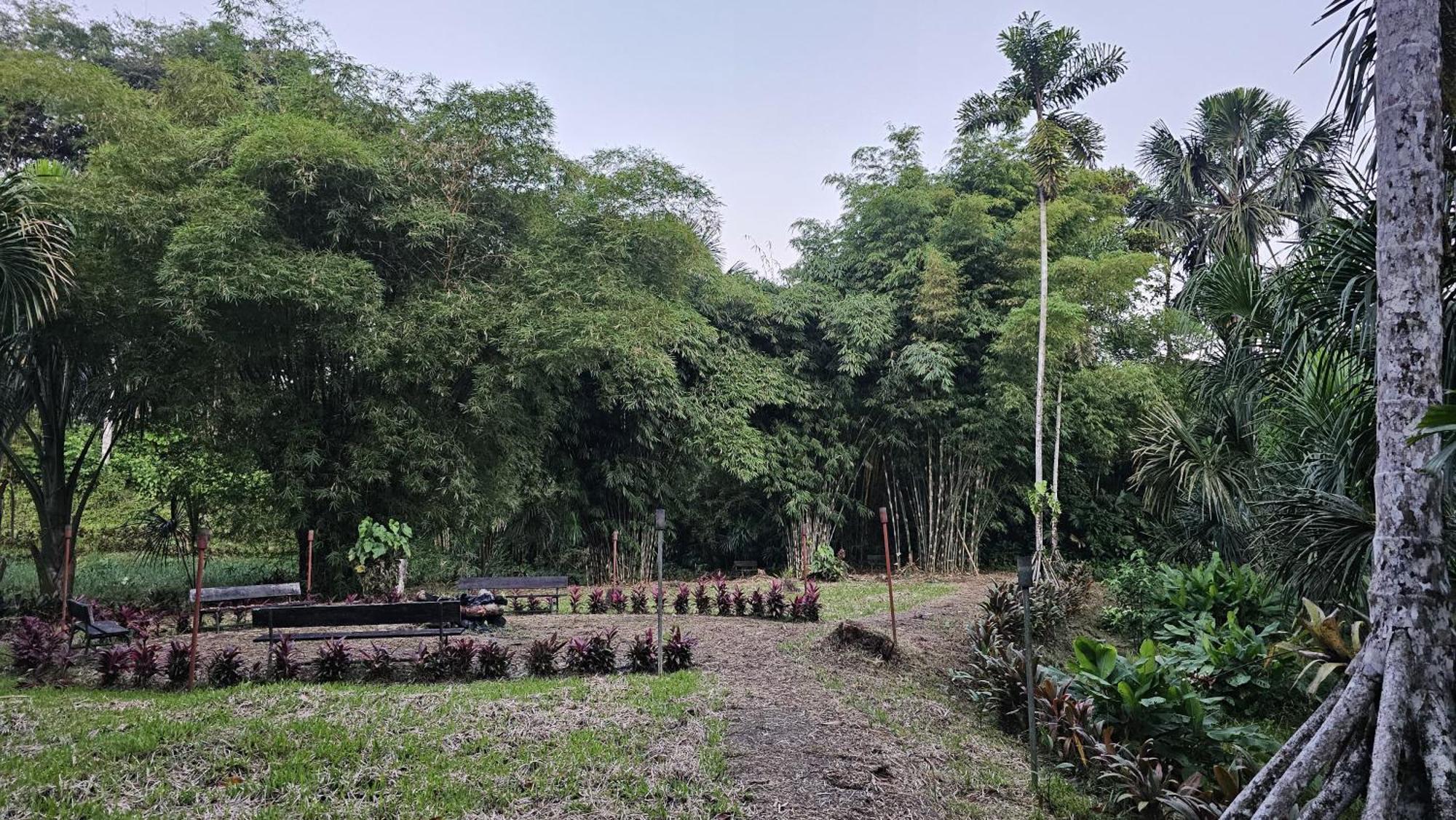 Hosteria Finca El Pigual Puyo Dış mekan fotoğraf