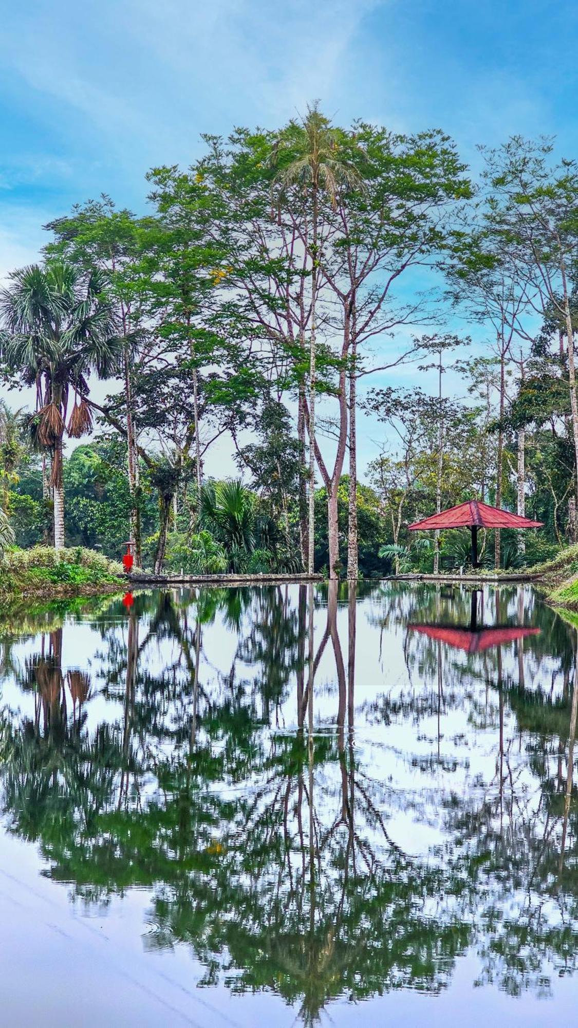 Hosteria Finca El Pigual Puyo Dış mekan fotoğraf