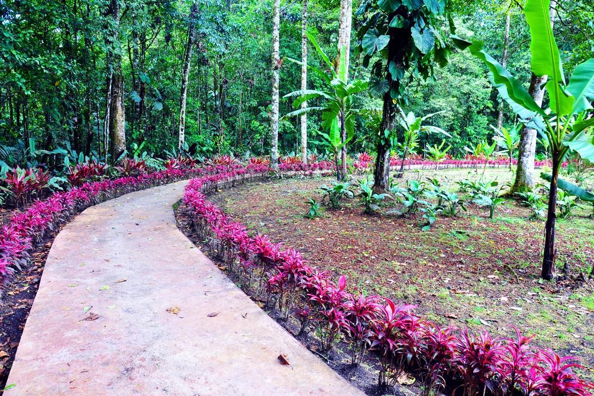 Hosteria Finca El Pigual Puyo Dış mekan fotoğraf