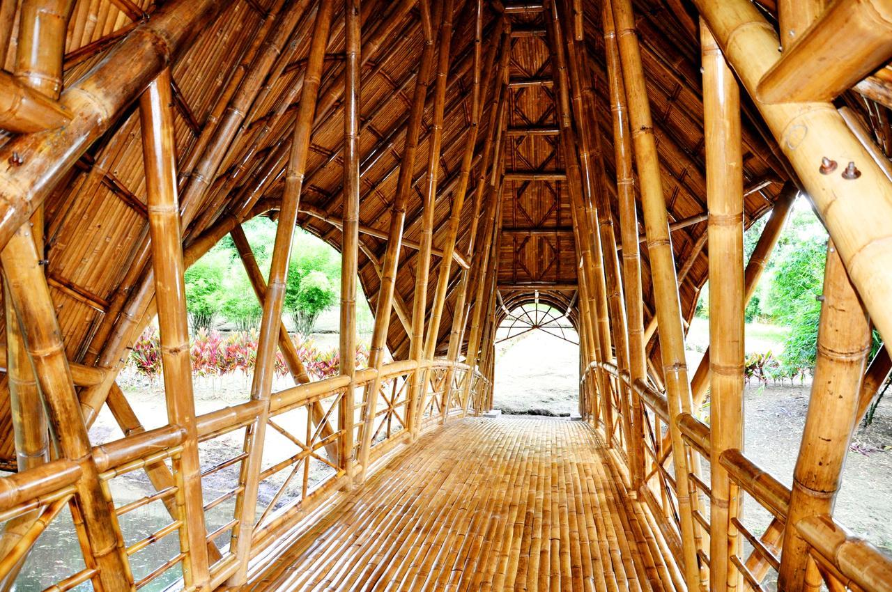 Hosteria Finca El Pigual Puyo Dış mekan fotoğraf
