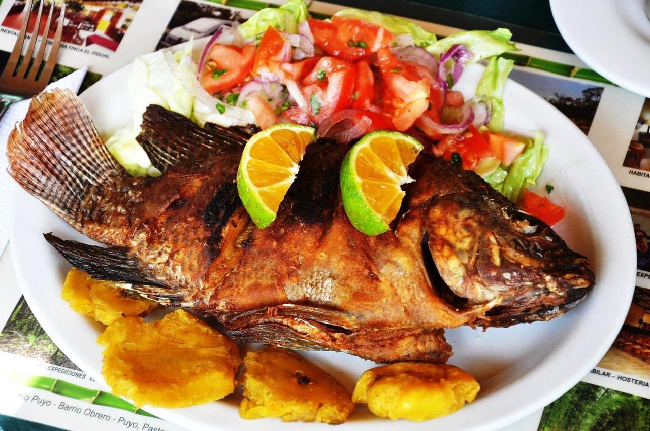 Hosteria Finca El Pigual Puyo Dış mekan fotoğraf